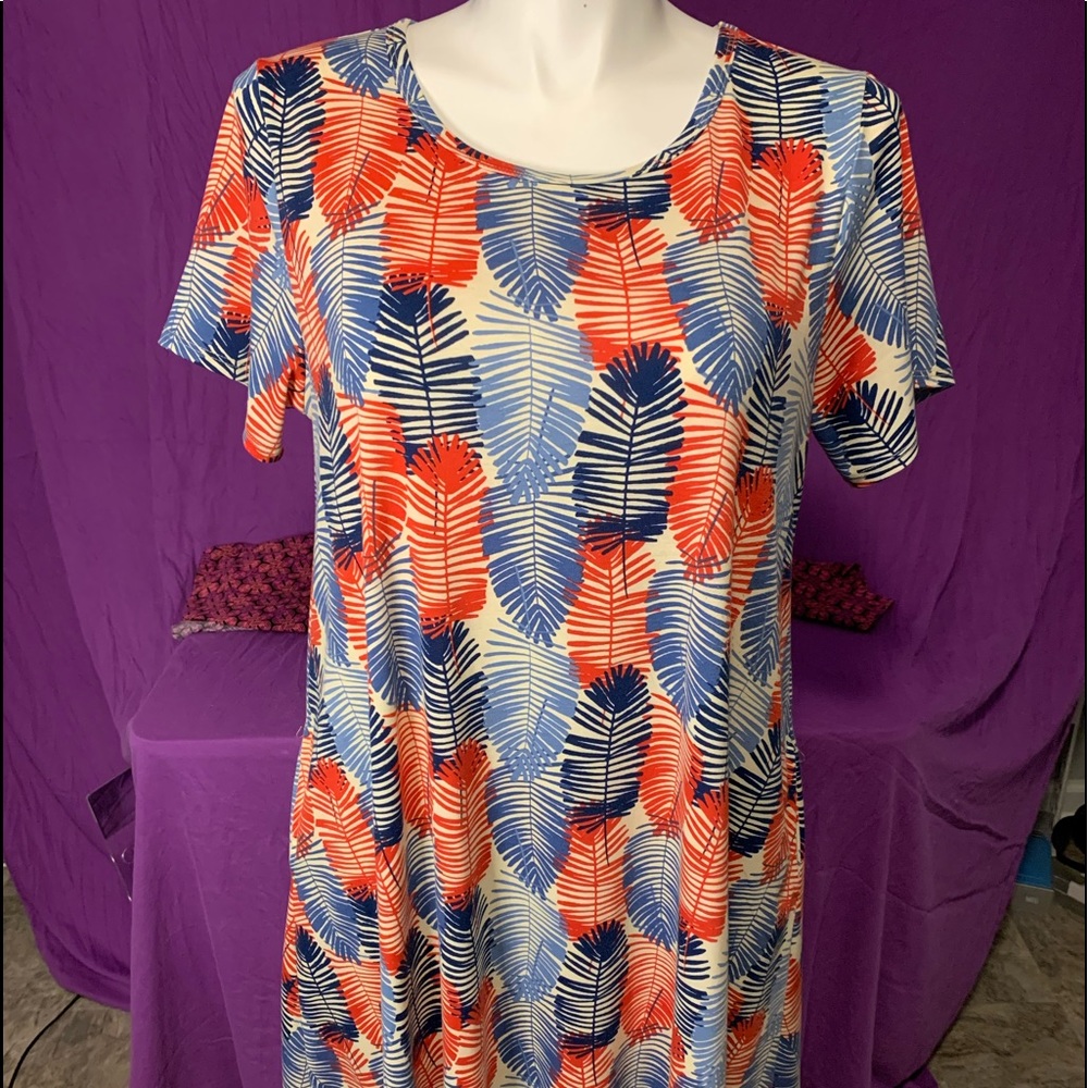 3/30 NWOT LulaRoe 2X t-shirt dress (calf length)